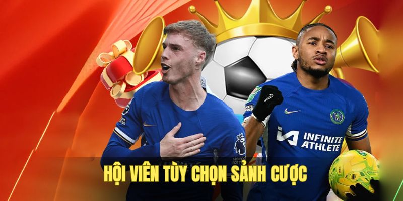 hoi-vien-dat-cuoc-sanh-game-phu-hop